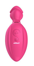 Load image into Gallery viewer, SHIBARI Beso, Power Suction Sex Toy, Pink
