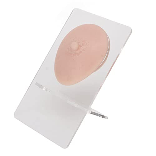 Silicone Fake Nipple Display Accessories Reusable Elastic 3D Silicone Nipple Model for Teaching (Medium Skin Color)