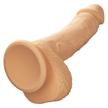 Load image into Gallery viewer, CalExotics Dual Density Silicone Studs 6.25 Inch Realistic Dildo with Suction Cup - Ivory - SE-0255-25-3
