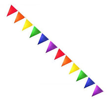 Load image into Gallery viewer, Gaysentials Rainbow Solid Pennants Decoration 12 feet
