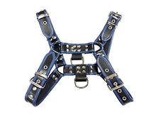 Load image into Gallery viewer, Rouge Garments O.T Harness with 2 D Rings, Black/Blue, S
