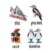 Load image into Gallery viewer, Qwerty Designs Funny Tits Pecker Cock Boobies Bird Gift Men &amp; Women Sticker
