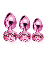 Load image into Gallery viewer, Nixie - Metal Plug Trainer Set - Pink Metallic
