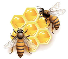 Load image into Gallery viewer, Large Realistic Honeycomb Honey Bee Vinyl Decal (Size 6 x 6 inches)
