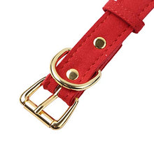 Load image into Gallery viewer, FEESHOW Fuax Leather Neck Choker Collar With Chain Detachable Leash For Men Women Red Choker One Size
