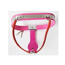 Load image into Gallery viewer, LESOYA Female Adjustable Chastity Belt Device Stainless Steel Y-Type Lockable Bondage Briefs BDSM Panties Underwear
