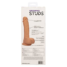 Load image into Gallery viewer, CalExotics Dual Density Silicone Studs 6.25 Inch Realistic Dildo with Suction Cup - Ivory - SE-0255-25-3
