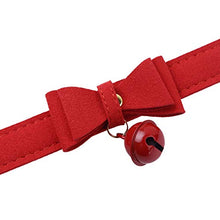 Load image into Gallery viewer, FEESHOW Fuax Leather Neck Choker Collar With Chain Detachable Leash For Men Women Red Choker One Size
