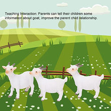 Load image into Gallery viewer, Shanrya Farm Animals Model, Goat Figurines Lifelike Vivid Birthday Gift for Home Travel for Kindergarten
