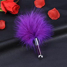 Load image into Gallery viewer, ERINGOGO Tickler Whip for Lovers Couples Whip Toy for Pets Tickler for Party Date Night
