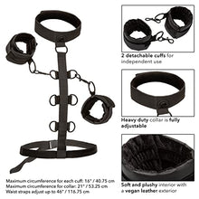 Load image into Gallery viewer, CalExotics Boundless Collar Body Restraint for BDSM &amp; Bondage - SE-2702-81-3
