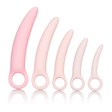 Load image into Gallery viewer, CalExotics - 3002480505 Inspire Silicone Dilator Kit, Pink &amp; Slippery Stuff Gel, 8 oz. Tube
